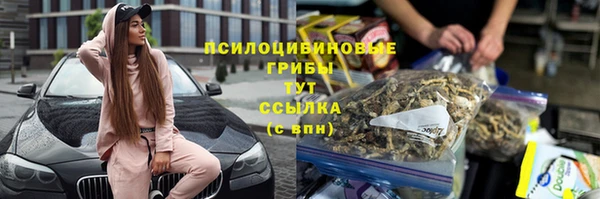 марки nbome Богданович