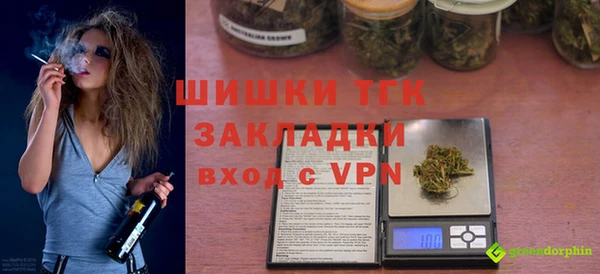 PSILOCYBIN Белокуриха