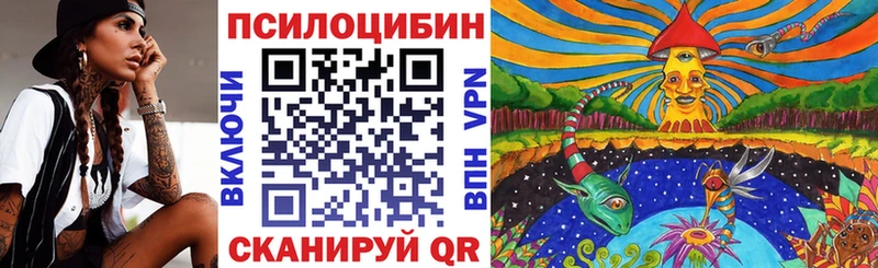 Галлюциногенные грибы Cubensis  мега   Гаврилов-Ям 